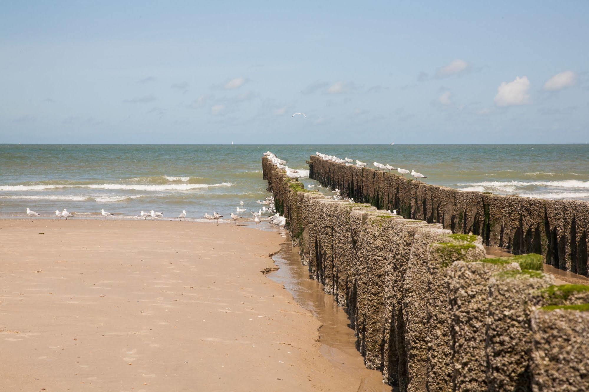 Hotel Domburg4You エクステリア 写真